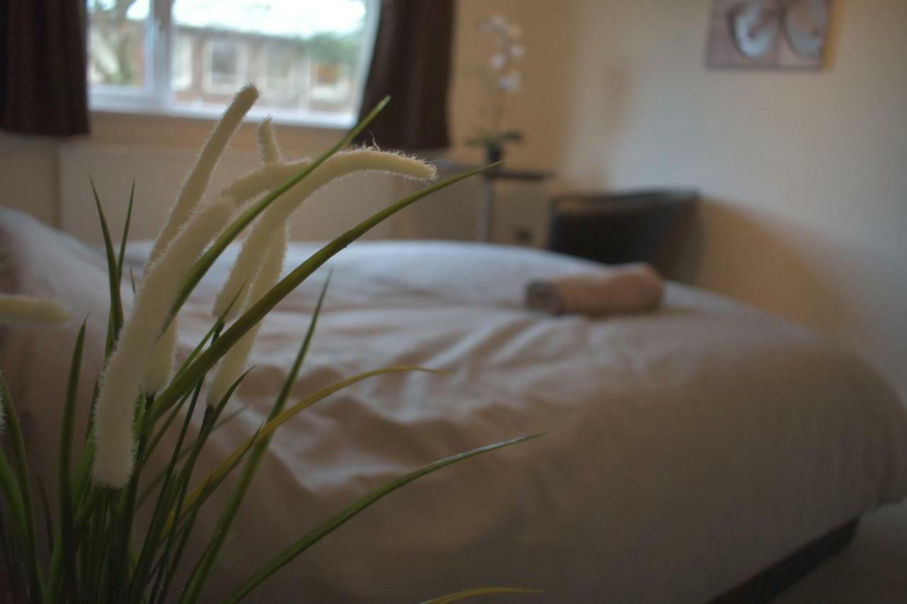 Home And A Stay Bristol Exteriör bild